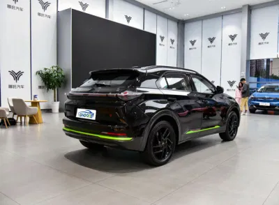 Fabricante de carros elétricos Hozon Neta U de venda direta com preço incrível