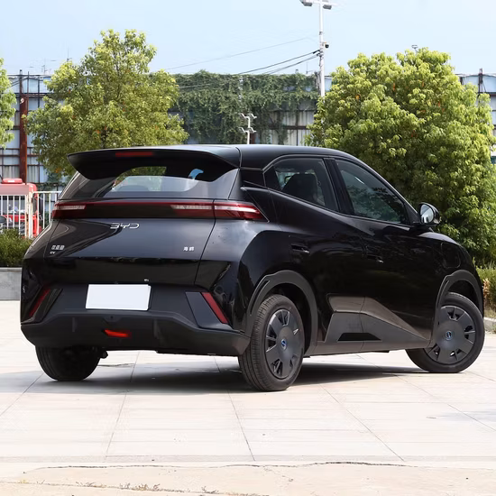 Bom preço China Mountain Veículo Elétrico Carros Novos Mini Carro Byd EV